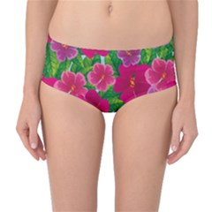 Background Cute Flowers Fuchsia With Leaves Mid-waist Bikini Bottoms by BangZart