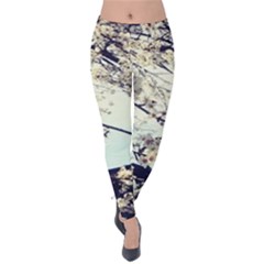 Plum Blossoms Velvet Leggings