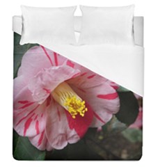 Striped Pink Camellia Ii Duvet Cover (queen Size) by okhismakingart