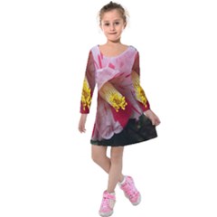 Striped Pink Camellia Ii Kids  Long Sleeve Velvet Dress