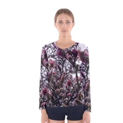 Saucer Magnolia Tree Ii Women s Long Sleeve Tee