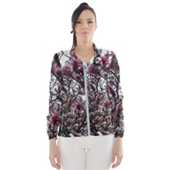 Saucer Magnolia Tree Ii Women s Windbreaker