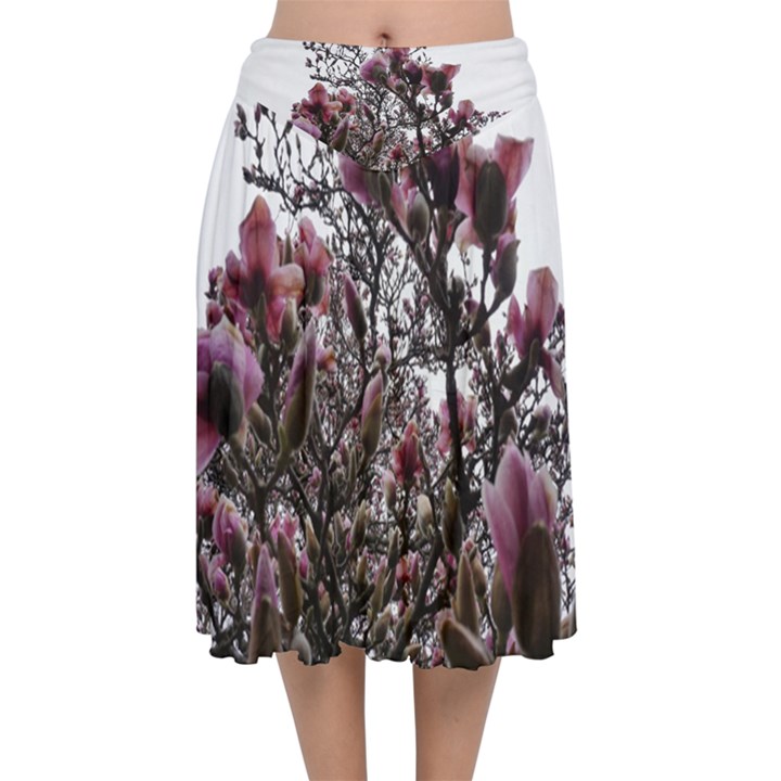 Saucer Magnolia Tree II Velvet Flared Midi Skirt