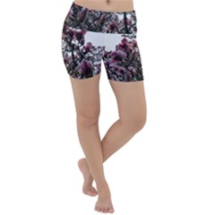 Saucer Magnolia Tree Ii Lightweight Velour Yoga Shorts by okhismakingart