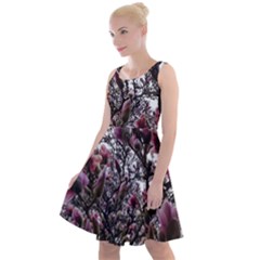 Saucer Magnolia Tree Ii Knee Length Skater Dress