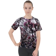 Saucer Magnolia Tree Ii Women s Sport Raglan Tee