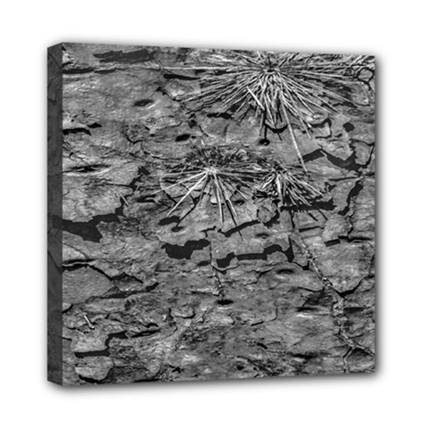 Black And White Texture Print Mini Canvas 8  X 8  (stretched)