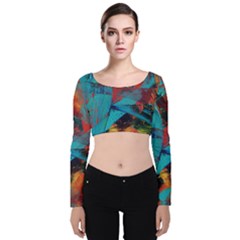 Magic Velvet Long Sleeve Crop Top by WILLBIRDWELL