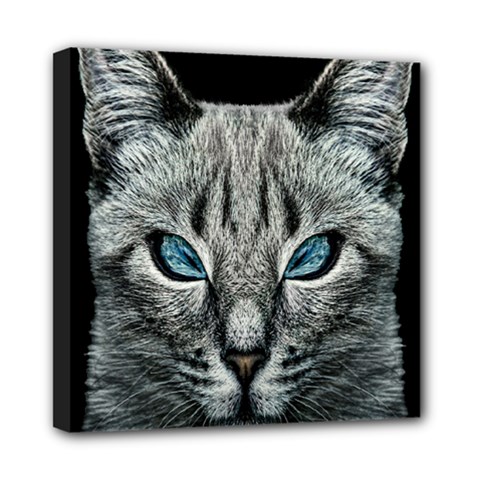 Evil Cat Portrait Digital Art Mini Canvas 8  X 8  (stretched) by dflcprintsclothing