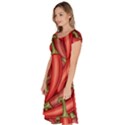 Seamless chili pepper pattern Classic Short Sleeve Dress View2