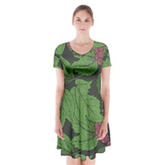 Seamless Pattern With Hand Drawn Guelder Rose Branches Short Sleeve V-neck Flare Dress by BangZart