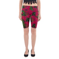 Seamless Pattern With Colorful Bush Roses Yoga Cropped Leggings by BangZart