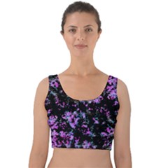 Abstract Intricate Texture Print Velvet Crop Top