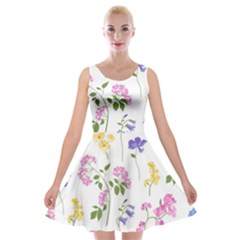 Botanical Flowers Velvet Skater Dress