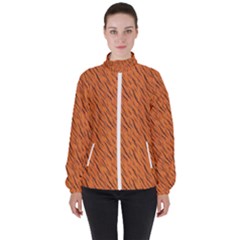 Animal Skin - Lion And Orange Skinnes Animals - Savannah And Africa Women s High Neck Windbreaker by DinzDas