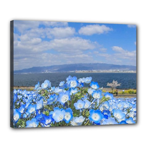 Floral Nature Canvas 20  X 16  (stretched) by Sparkle