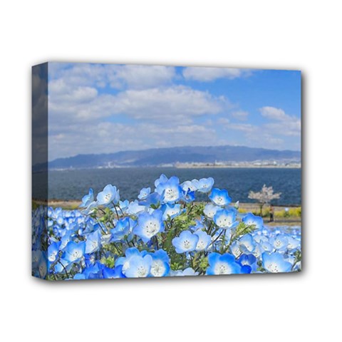 Floral Nature Deluxe Canvas 14  X 11  (stretched) by Sparkle