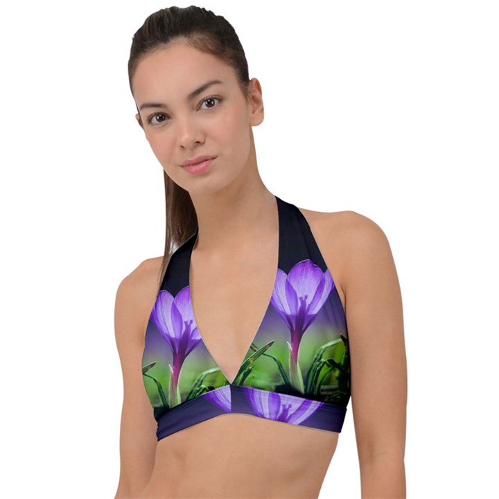 Floral Nature Halter Plunge Bikini Top