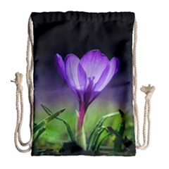 Floral Nature Drawstring Bag (large) by Sparkle