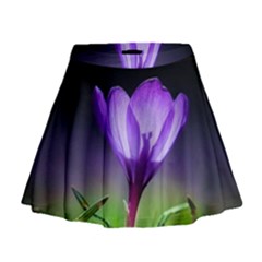 Floral Nature Mini Flare Skirt by Sparkle