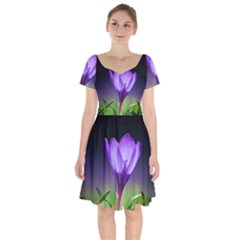 Floral Nature Short Sleeve Bardot Dress