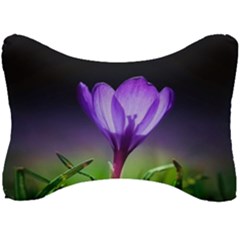 Floral Nature Seat Head Rest Cushion by Sparkle