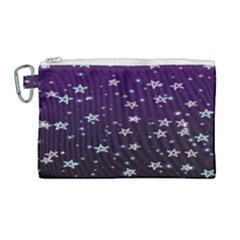 Stars Canvas Cosmetic Bag (large)