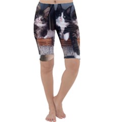 Cats Brothers Cropped Leggings  by Sparkle