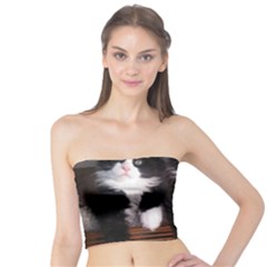 Cats Brothers Tube Top by Sparkle