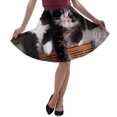 Cats Brothers A-line Skater Skirt by Sparkle