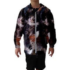 Cats Brothers Kids  Hooded Windbreaker by Sparkle