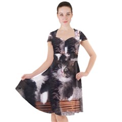 Cats Brothers Cap Sleeve Midi Dress by Sparkle