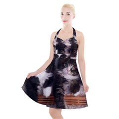 Cats Brothers Halter Party Swing Dress  by Sparkle