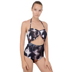 Cats Brothers Scallop Top Cut Out Swimsuit by Sparkle