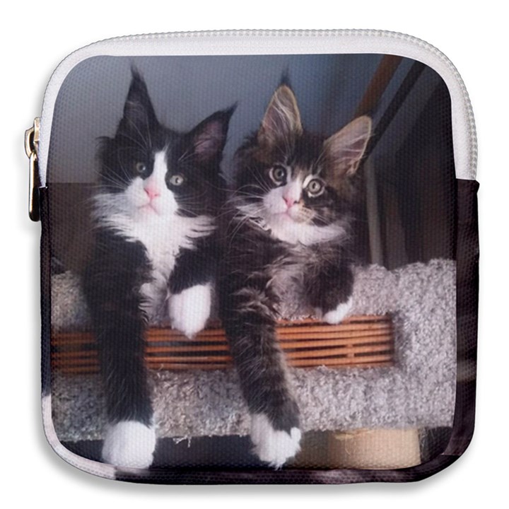 Cats Brothers Mini Square Pouch