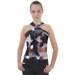 Cats Brothers Cross Neck Velour Top by Sparkle