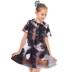 Cats Brothers Kids  Short Sleeve Shirt Dress