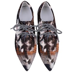 Cats Brothers Pointed Oxford Shoes by Sparkle