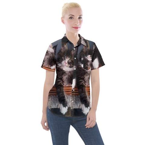 Cats Brothers Women s Short Sleeve Pocket Shirt by Sparkle