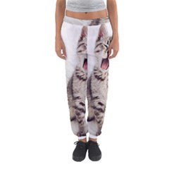 Laughing Kitten Women s Jogger Sweatpants by Sparkle