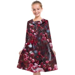 Red Floral Kids  Midi Sailor Dress