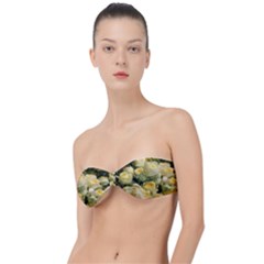 Yellow Roses Classic Bandeau Bikini Top  by Sparkle