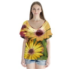 Yellow Flowers V-neck Flutter Sleeve Top by Sparkle