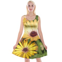 Yellow Flowers Reversible Velvet Sleeveless Dress by Sparkle