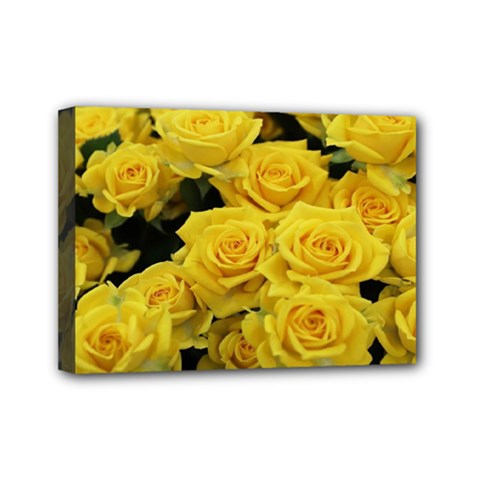 Yellow Roses Mini Canvas 7  X 5  (stretched) by Sparkle