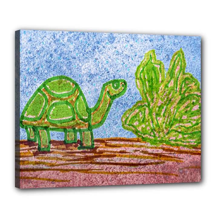 Turtle And Letttuce Colored Illustration Canvas 20  x 16  (Stretched)