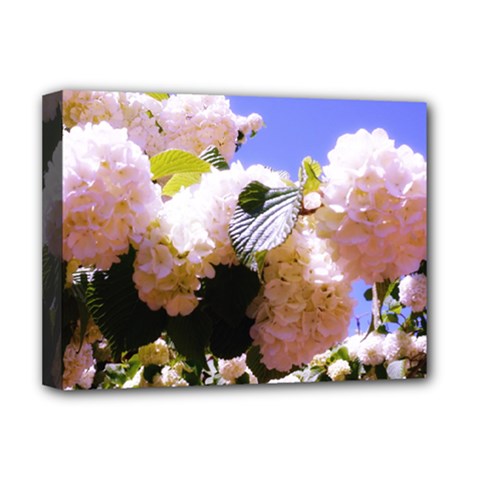 Pink Snowball Branch Deluxe Canvas 16  X 12  (stretched)  by okhismakingart