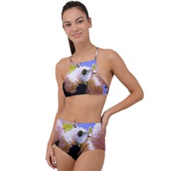 Pink Snowball Branch High Waist Tankini Set by okhismakingart