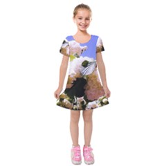 Pink Snowball Branch Kids  Short Sleeve Velvet Dress