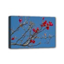 Santa Rita Flower Photo001 Mini Canvas 6  x 4  (Stretched) View1